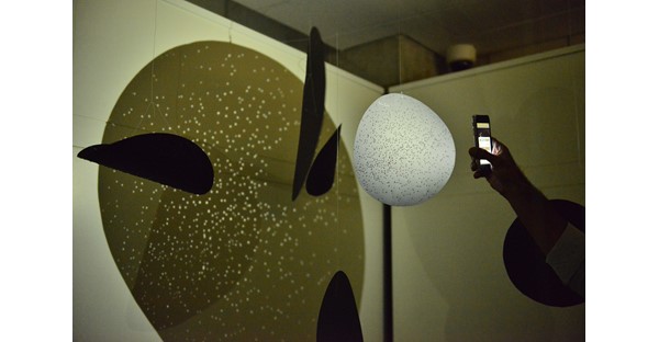 GRADUATE PROGRAM 29